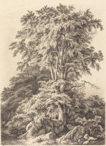 Beech Grove tekijältä Eugene Bléry