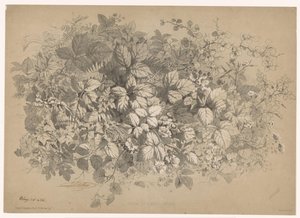 Bramen en andere planten Brambles ja erilaiset kasvit (otsikko esineessä) Planten en bloemen (sarjan nimi) Teollisuusopas luonnosta piirretty ja Bléryn litografia (sarjan nimi) tekijältä Eugene Bléry