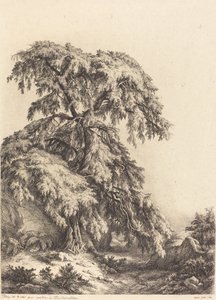 Kataja, 1840.