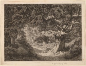 Fontainebleaun Kaarle Suuren metsä, 1861. tekijältä Eugene Bléry