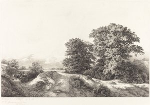 Tammet Vaux de Cernayssa, 1840. tekijältä Eugene Bléry