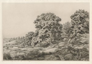 Oaks lähellä lampia, 1852.