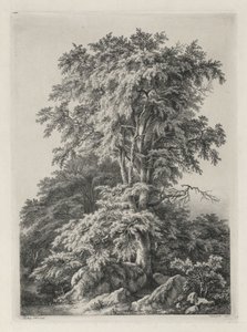 Luonnon mukaan piirrettyjä ja kaiverrettuja tutkimuksia: The Beach, Fontainbleau..., 1840. tekijältä Eugene Bléry