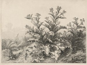 Suuri ohdake Le Grand Chardon, 1843. tekijältä Eugene Bléry