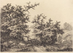 Piikkipensaat, 1840.