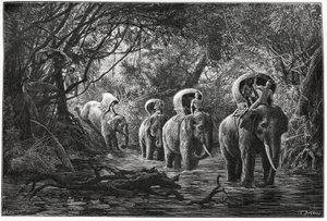 Matkalla metsään retkikunta kulkee norsun selässä. Kaiverrus Eugene Burnand, havainnollistamaan tarinaa "Matka Ylä-Laosissa", vuonna 1880, tohtori P.Neis. Julkaistu Le Tour du monde, nouveau journal des voyages, 2. lukukausi 18. tekijältä Eugene Burnand