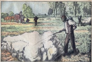 Mulottien (Apodemus) tuhoaminen tukahduttavalla kaasulla Aamunkoitteessa - kaiverrus Damblans - le-pelerin vuodelta 1923 tekijältä Eugene Damblans