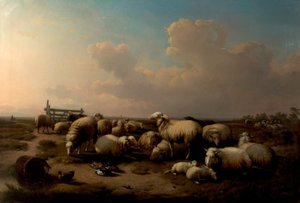 Lammas tekijältä Eugene Joseph Verboeckhoven
