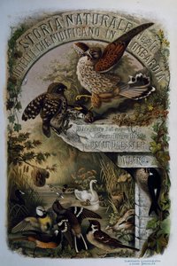 Eugenio Bettonin (1845-1898) Lombardiassa pesivien lintujen luonnonhistorian nimisivu, kaiverrus Oscar Dressler, Italia