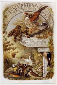 Etukappale Lombardiassa pesivien lintujen luonnonhistoriasta (kromolitografia