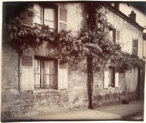 Glysiini (Wisteria), Ch?tillon tekijältä Eugène Atget