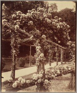 [Jardin de Bagatelle] tekijältä Eugène Atget