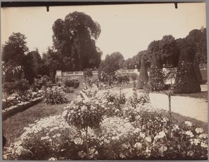 Saint-Cloud tekijältä Eugène Atget