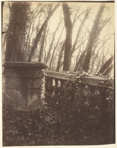 Saint-Cloudin puisto, Pariisi tekijältä Eugène Atget