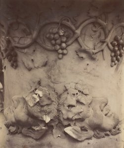 Versailles, Maljakon yksityiskohta, 1906. tekijältä Eugène Atget