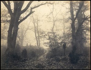 Fontainebleau. Metsä Barbizonissa, noin 1860.