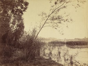 Marais de Fampoux,1860-luvun alussa (kuva) tekijältä Eugène Cuvelier