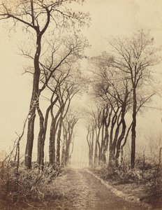 Tie ja puut kuuralla, 1860.