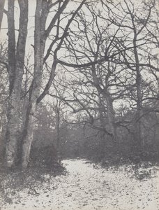 Tie metsässä, 1860-1863.