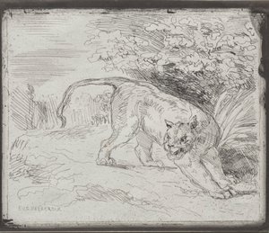 Loukkuun jäänyt tiikeri tekijältä Eugène Delacroix