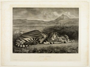 Bengalin tiikeri tekijältä Eugène Delacroix