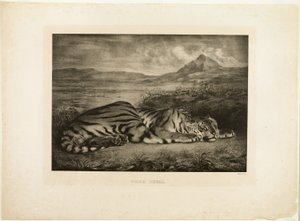 Bengalin tiikeri tekijältä Eugène Delacroix