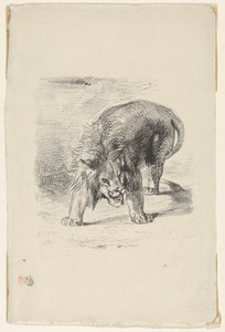 Leijona seisoo, 1833, 1833. tekijältä Eugène Delacroix