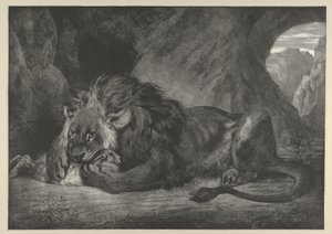 Atlasvuorten leijona, 1829-30, 1829-30. tekijältä Eugène Delacroix