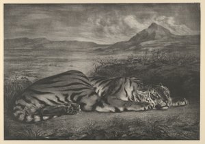 Kuninkaallinen tiikeri, 1829, 1829. tekijältä Eugène Delacroix