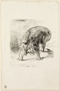 Pysyvä leijona tekijältä Eugène Delacroix