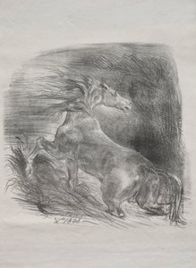 Villihevonen tai pelästynyt hevonen, joka lähtee vedestä tekijältä Eugène Delacroix
