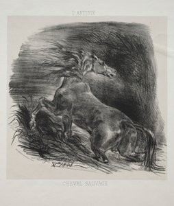 Villihevonen tai pelästynyt hevonen, joka lähtee vedestä tekijältä Eugène Delacroix