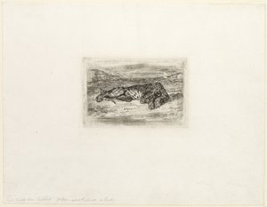 Tiikeri lepää autiomaassa tekijältä Eugène Delacroix