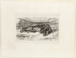 Tiikeri lepää autiomaassa tekijältä Eugène Delacroix