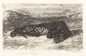 Tiger Sleeping in the Desert tekijältä Eugène Delacroix