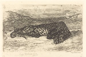 Tiger Sleeping in the Desert Tiger Sleeping in the Desert, 1846. tekijältä Eugène Delacroix