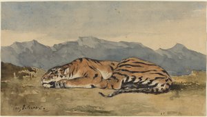Tiger, c. 1830. tekijältä Eugène Delacroix