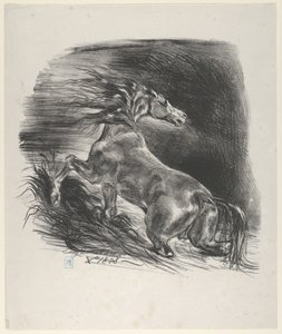Villihevonen, 1828, 1828. tekijältä Eugène Delacroix