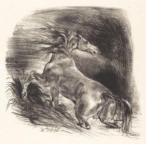 Wild Horse Coming out of the Water Cheval sauvage, 1828. tekijältä Eugène Delacroix