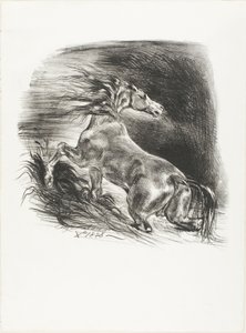 Villihevonen tai pelästynyt hevonen, joka lähtee vedestä tekijältä Eugène Delacroix