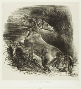 Villihevonen tai pelästynyt hevonen lähtemässä vedestä tekijältä Eugène Delacroix