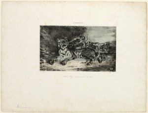 Nuori tiikeri leikkii äitinsä kanssa tekijältä Eugène Delacroix