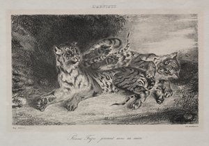 Nuori tiikeri leikkii äitinsä kanssa tekijältä Eugène Delacroix