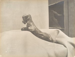 [Auguste Rodinin Puristettu käsi], ennen vuotta 1898. tekijältä Eugène Druet