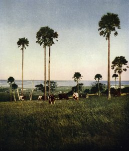 Australia, Illawarra (kuva) tekijältä European Photographer
