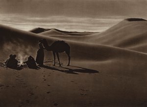Ilta aavikolla (s/w-kuva) tekijältä European Photographer
