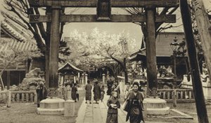 Japani, Tokion katu, kirsikankukinnan aika (m/w kuva) tekijältä European Photographer