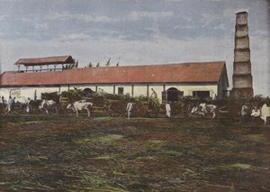 Sokeriruo