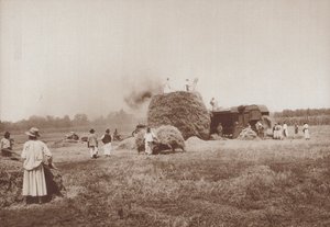 Vehnän puinti Alfoldilla, Unkarin tasangoilla (m/w kuva) tekijältä European Photographer