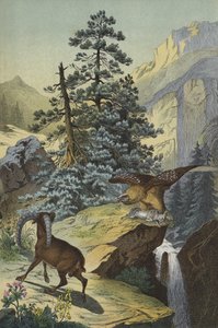 Alppien eläimet ja kasvit (väri litho) tekijältä European School